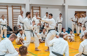 seminars rokah karate