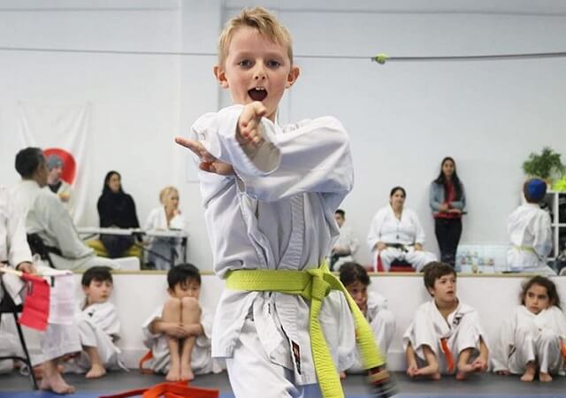 youth karate kids classes