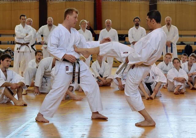 Adult students training karate