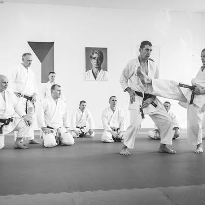 Czech Republic — instructors' seminar with Sensei Avi Rokah demonstrating