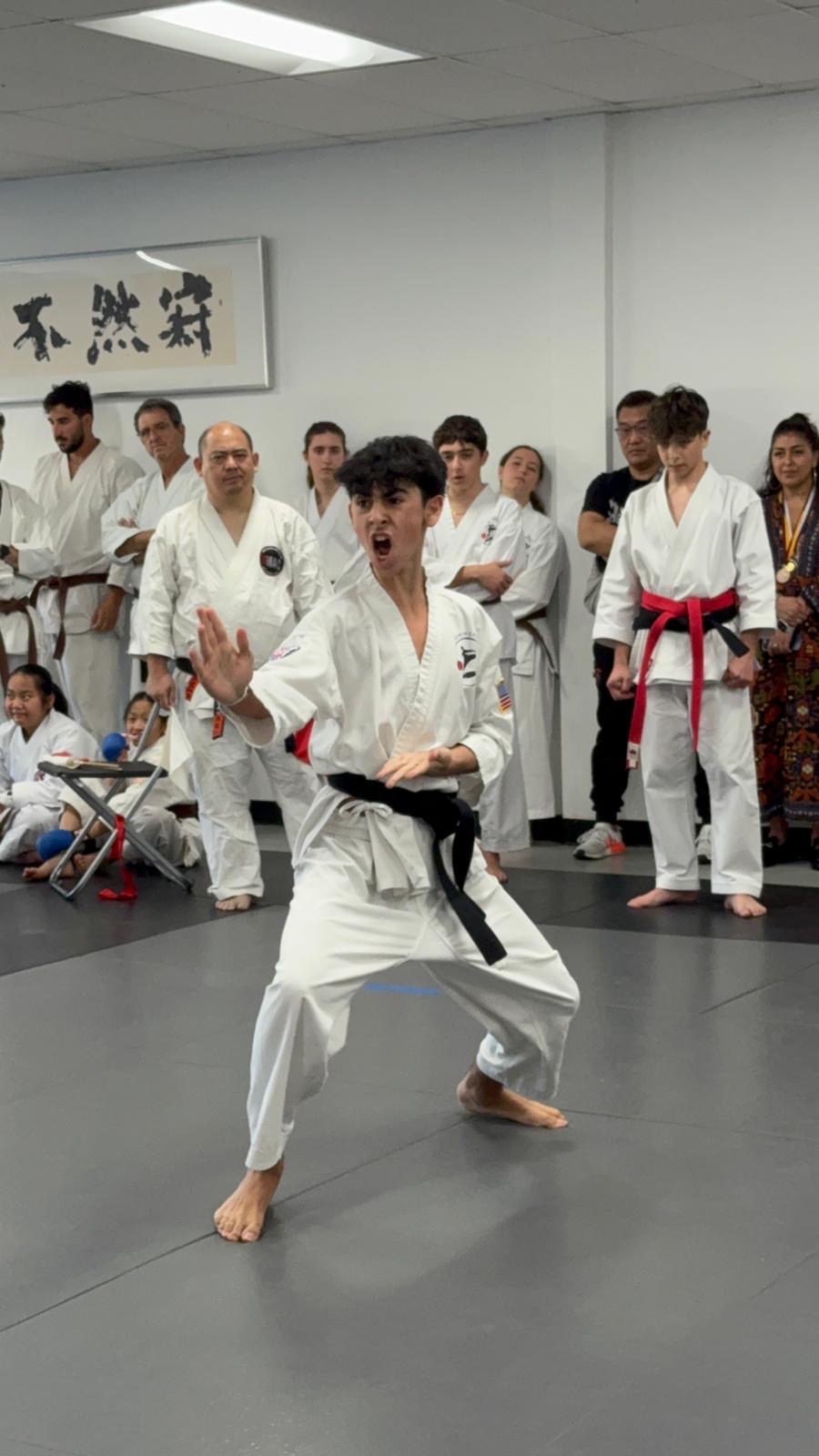 Rokah Karate teen performing kata in competition