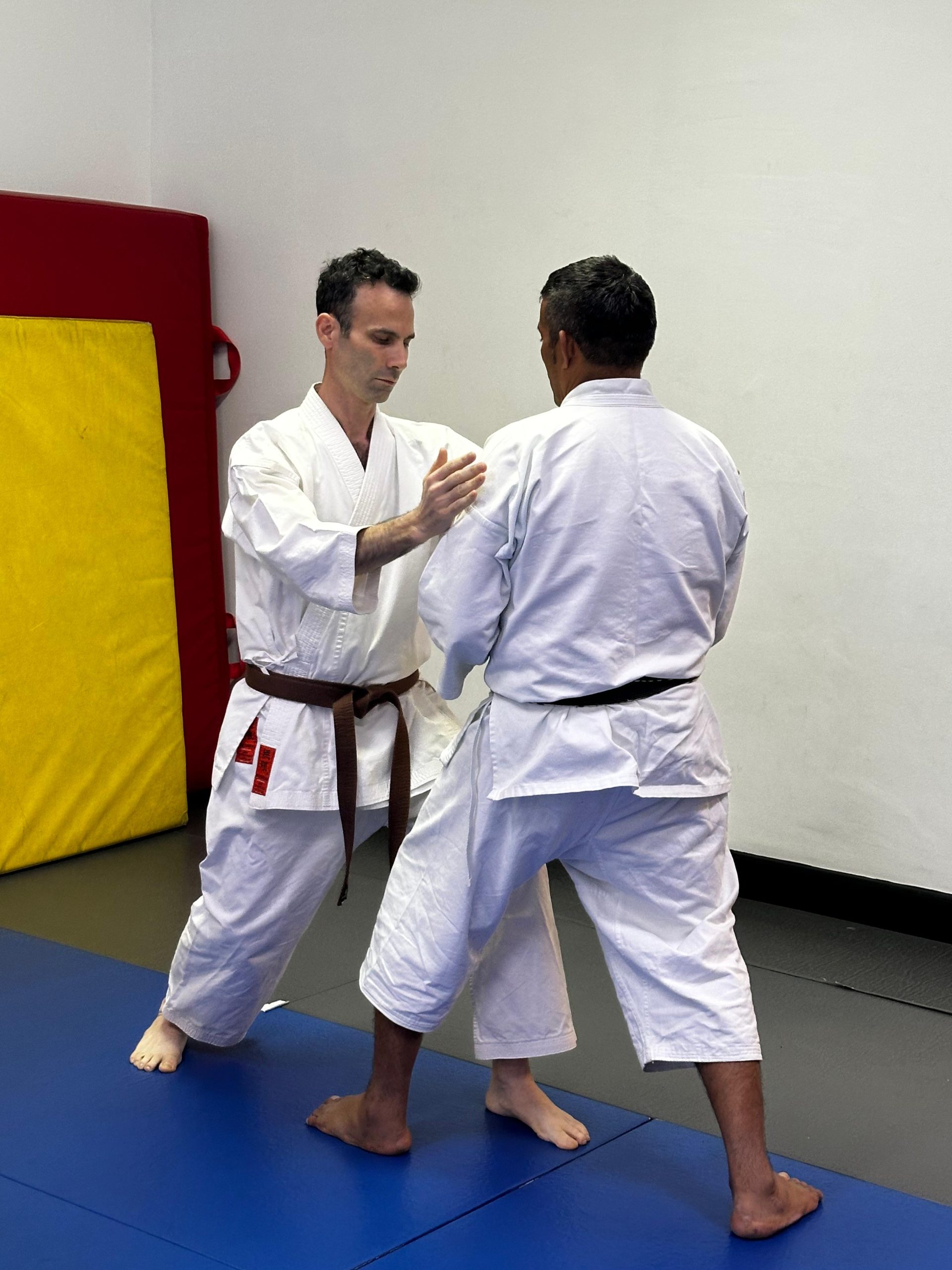 Adult partner drill on the dojo floor
